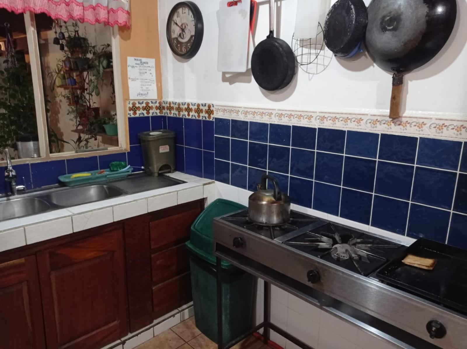 Hostel Casa Ridgway San José Dış mekan fotoğraf