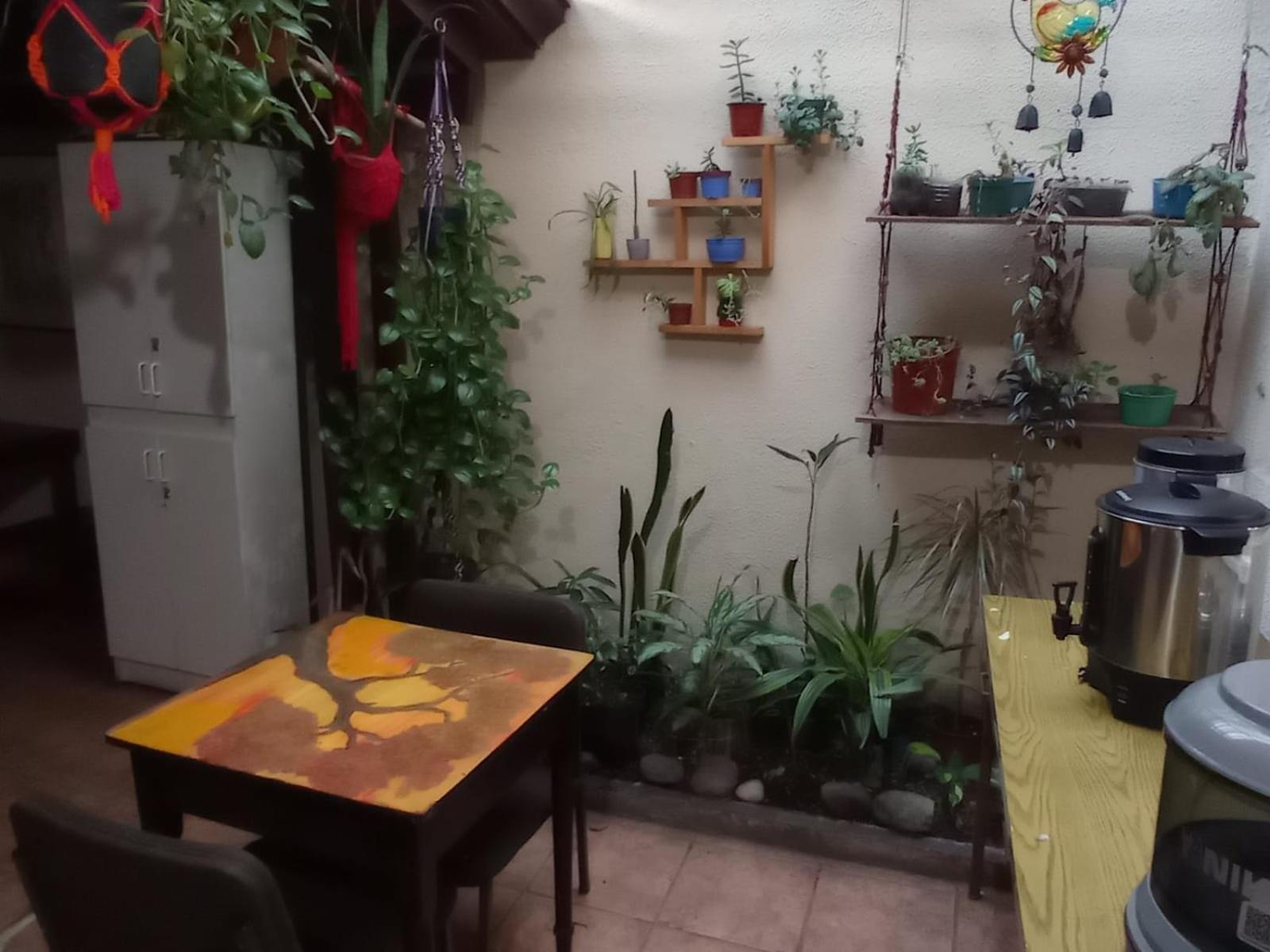Hostel Casa Ridgway San José Dış mekan fotoğraf