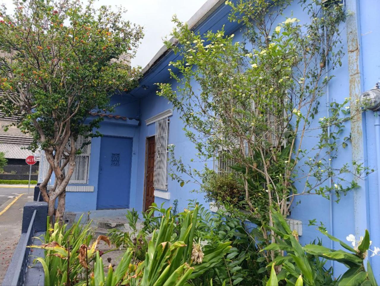 Hostel Casa Ridgway San José Dış mekan fotoğraf