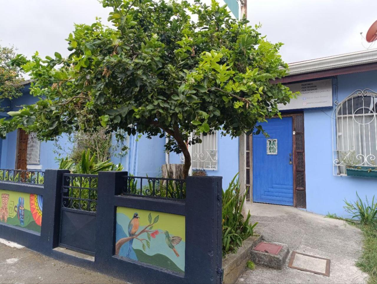 Hostel Casa Ridgway San José Dış mekan fotoğraf